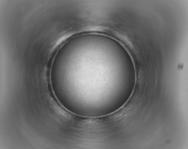 X0000090911404200708131403