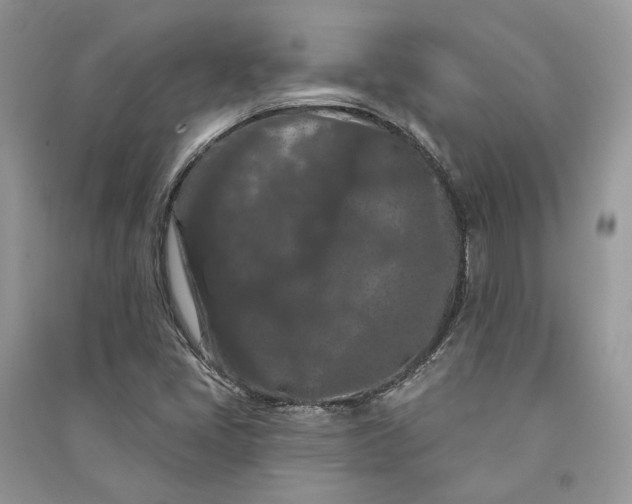 X0000090911405200708131403