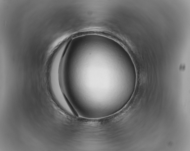 X0000090911406200708131403