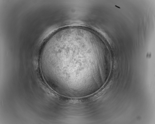 X0000090911407200708131403