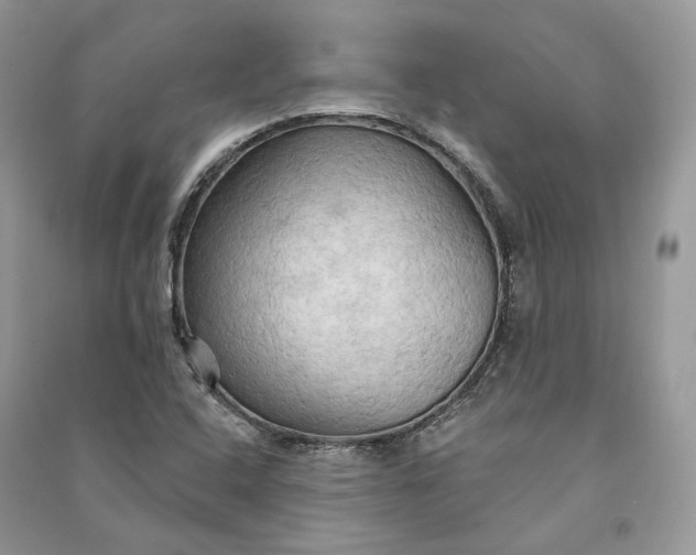 X0000090911408200708131403