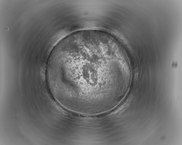 X0000090911409200708131403