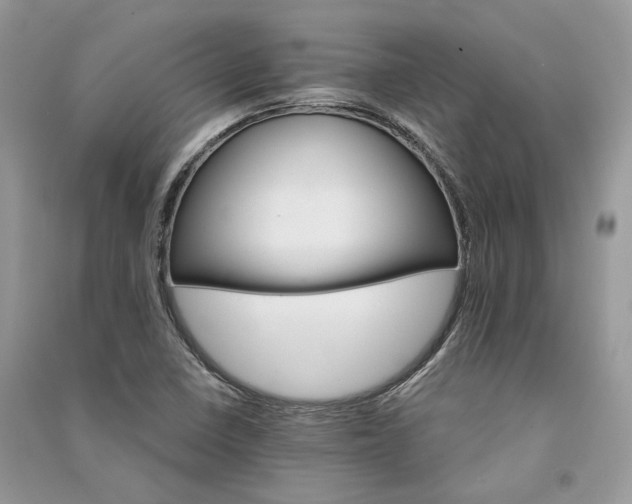 X0000090911410200708131403