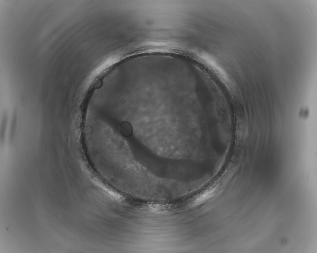 X0000090911411200708131403