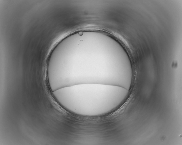 X0000090911413200708131403