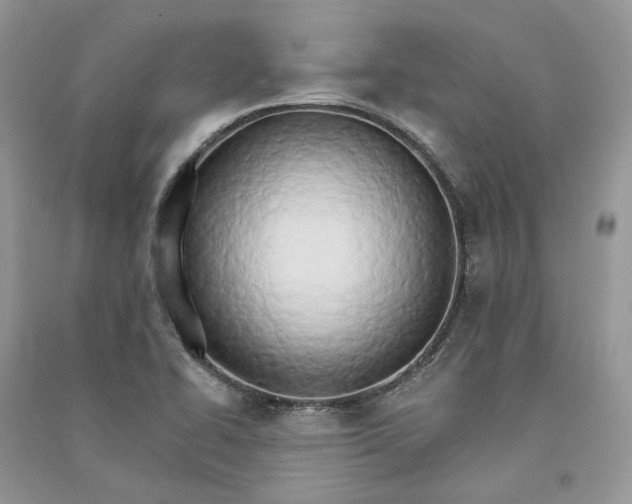 X0000090911414200708131403