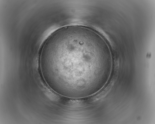 X0000090911415200708131403