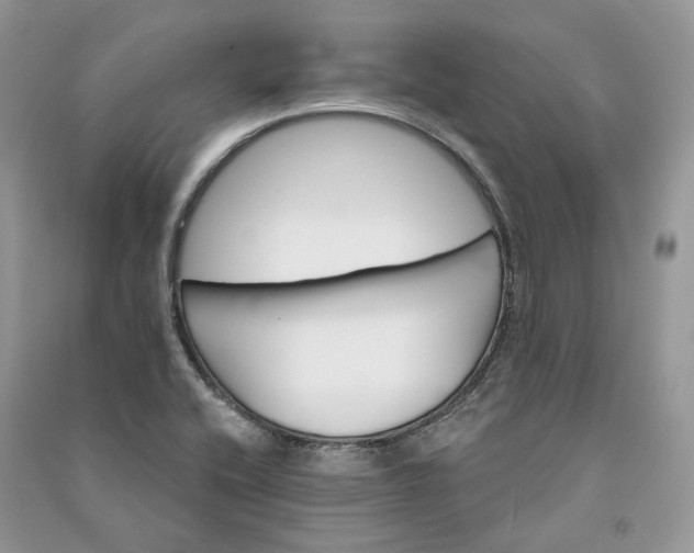 X0000090911416200708131403