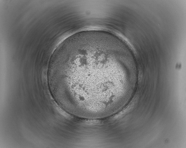 X0000090911417200708131403