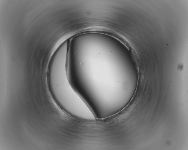 X0000090911418200708131403