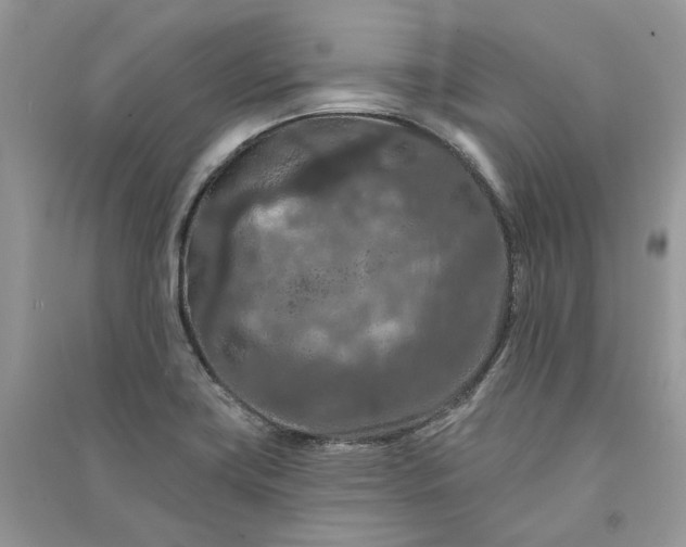 X0000090911419200708131403