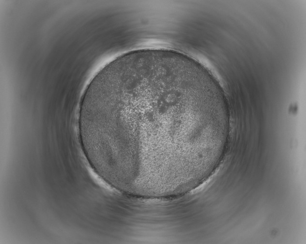 X0000090911421200708131403