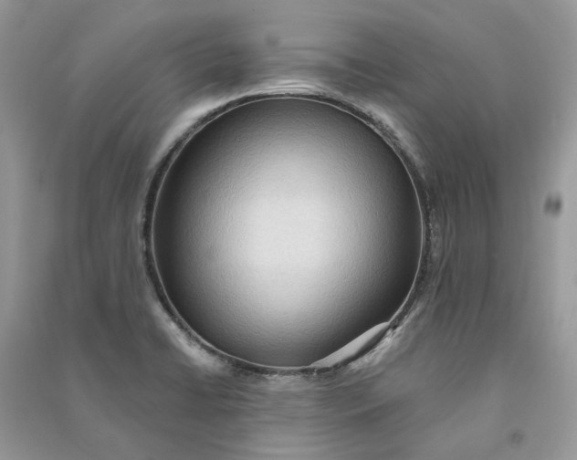 X0000090911422200708131403