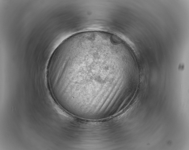 X0000090911423200708131403