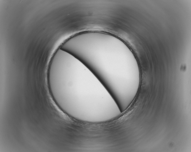 X0000090911424200708131403