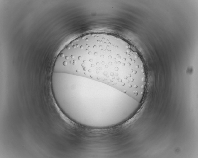 X0000090911425200708131403