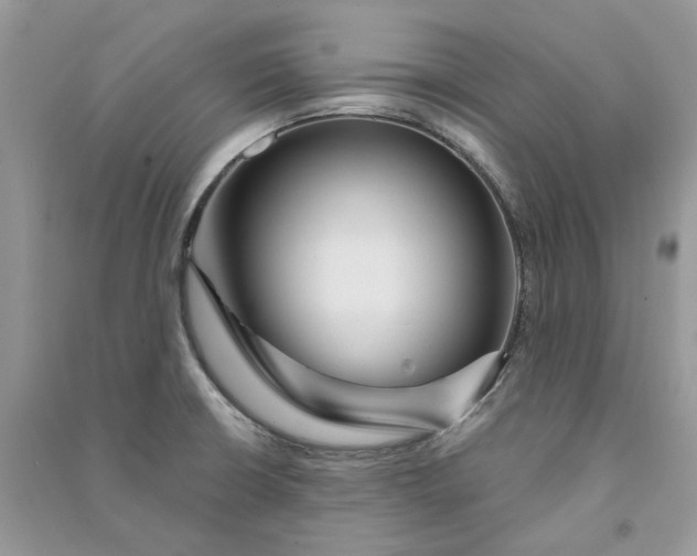 X0000090911426200708131403