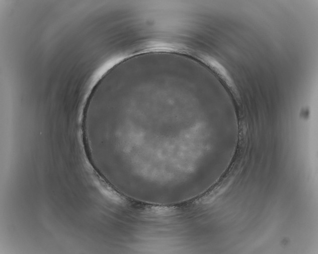 X0000090911427200708131403