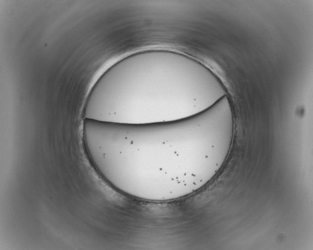 X0000090911428200708131403