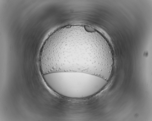 X0000090911429200708131403