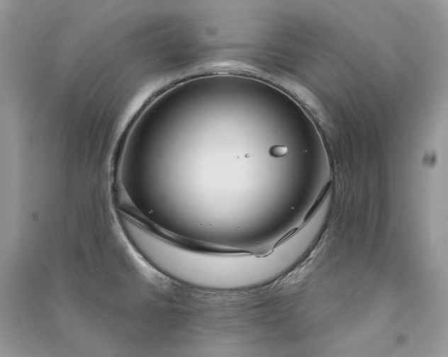 X0000090911430200708131403