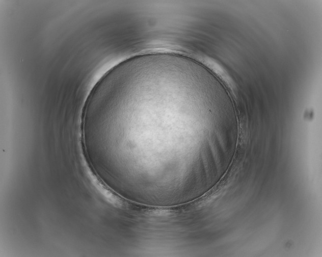 X0000090911431200708131403