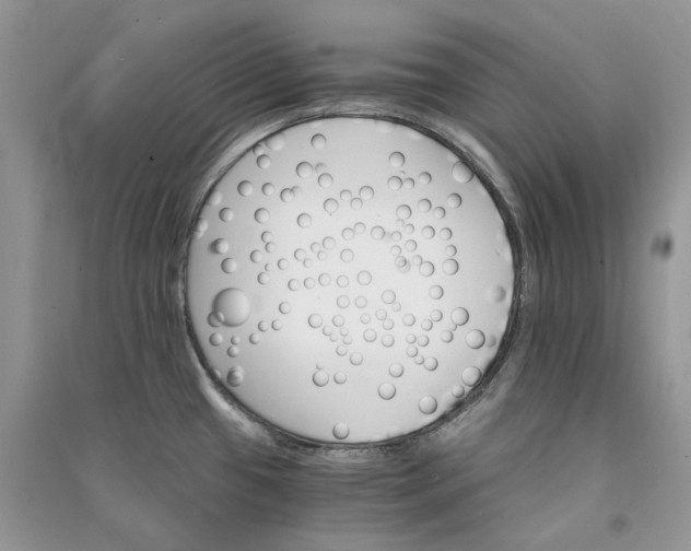 X0000090911433200708131403