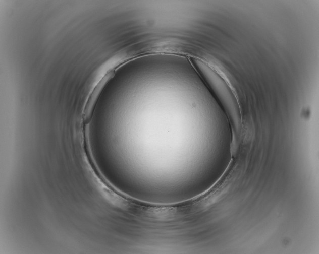 X0000090911434200708131403