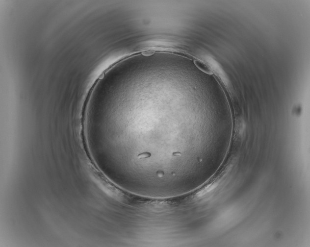 X0000090911435200708131403