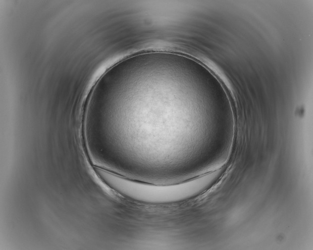 X0000090911437200708131403