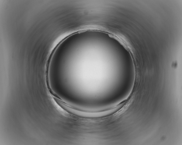 X0000090911438200708131403