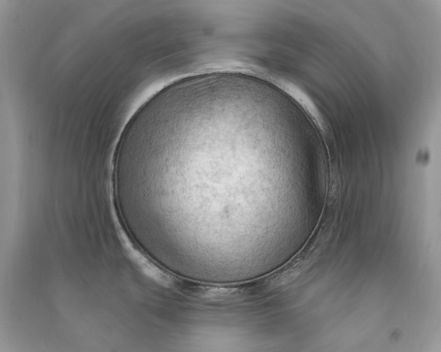 X0000090911439200708131403