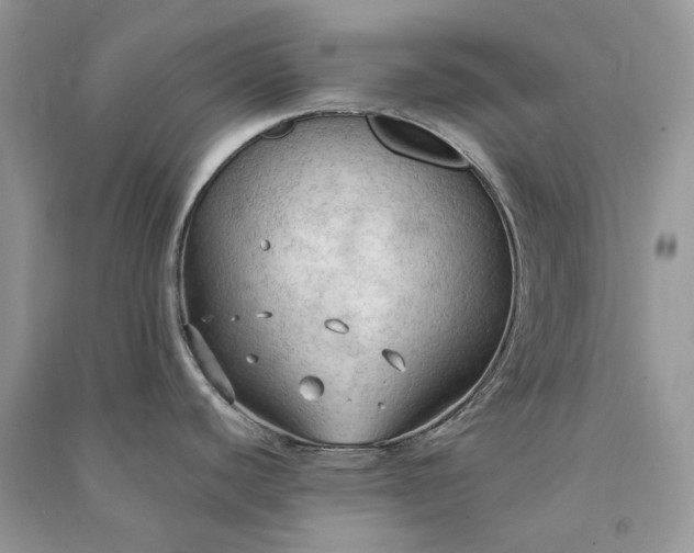 X0000090911440200708131403