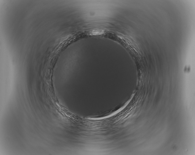 X0000090911441200708131403