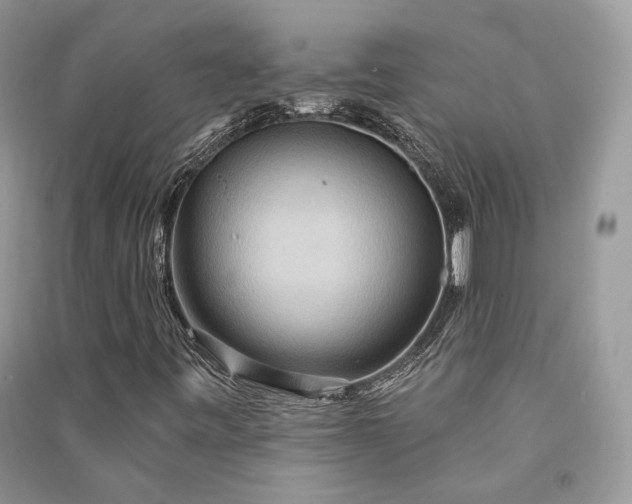 X0000090911443200708131403