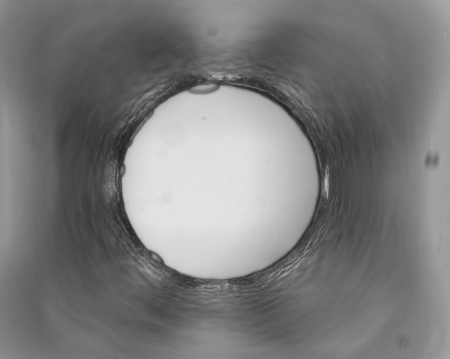 X0000090911444200708131403