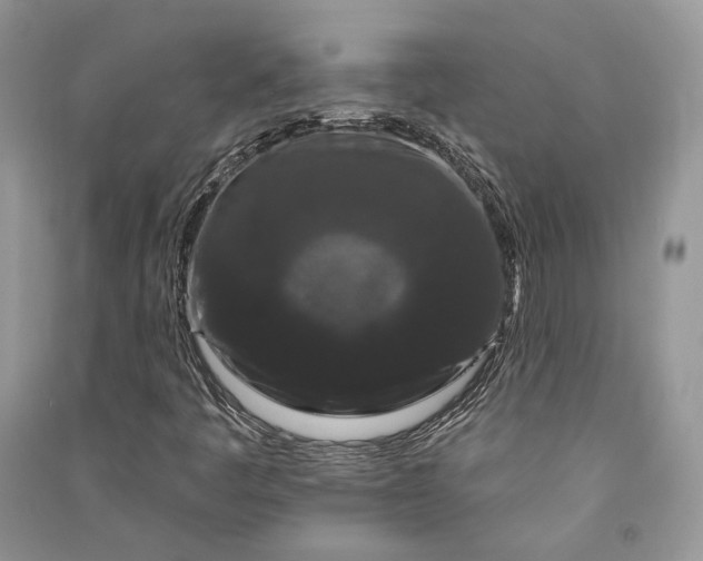 X0000090911445200708131403