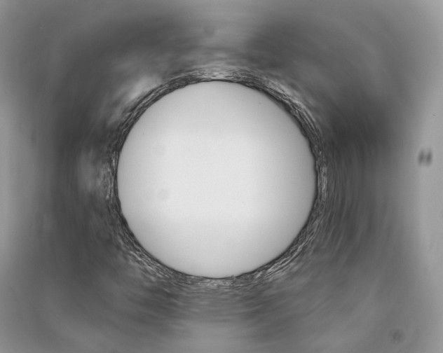 X0000090911446200708131403