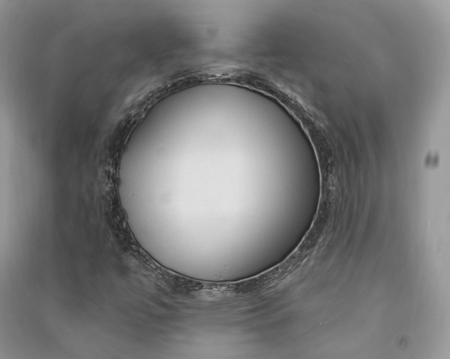 X0000090911447200708131403