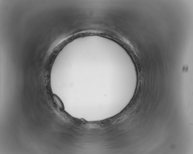 X0000090911448200708131403