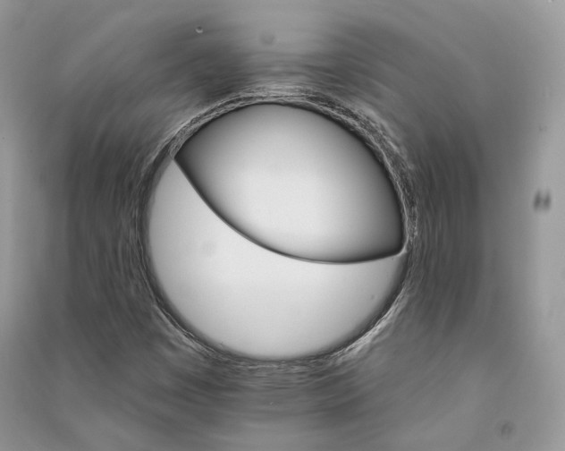 X0000090911449200708131403