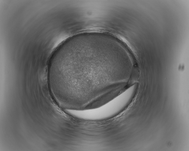 X0000090911450200708131403