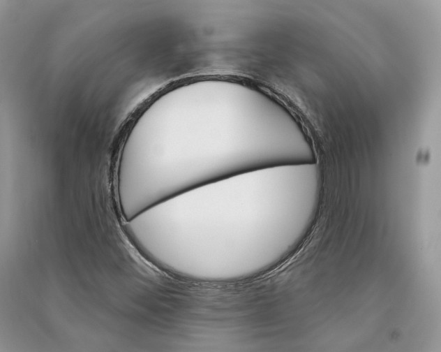 X0000090911452200708131403