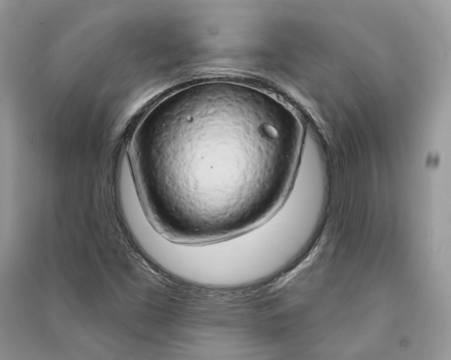 X0000090911453200708131403