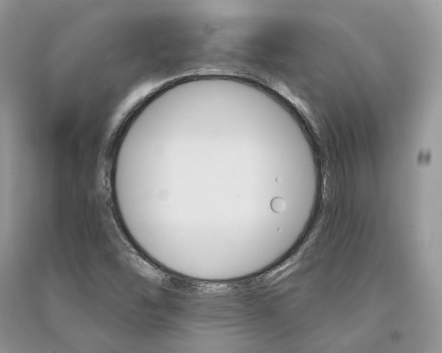 X0000090911454200708131403