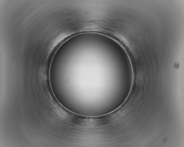 X0000090911458200708131403