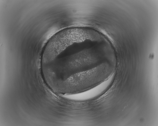 X0000090911459200708131403