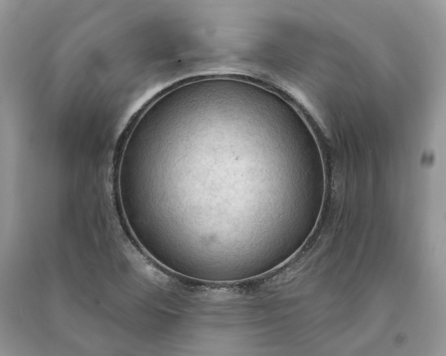 X0000090911460200708131403