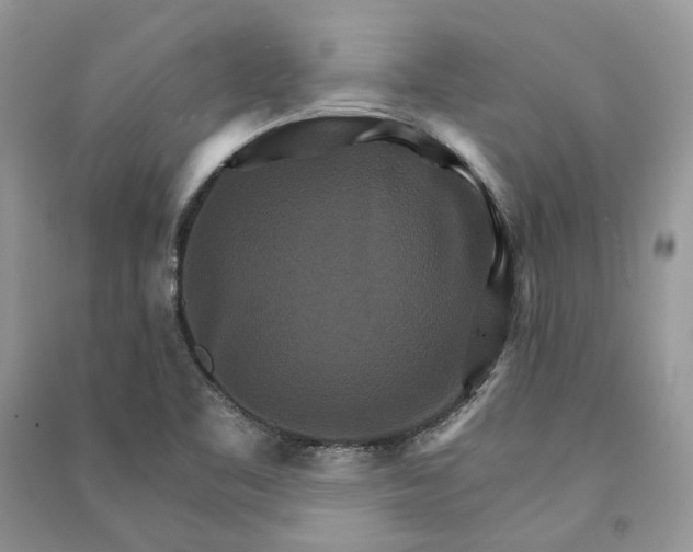 X0000090911461200708131403