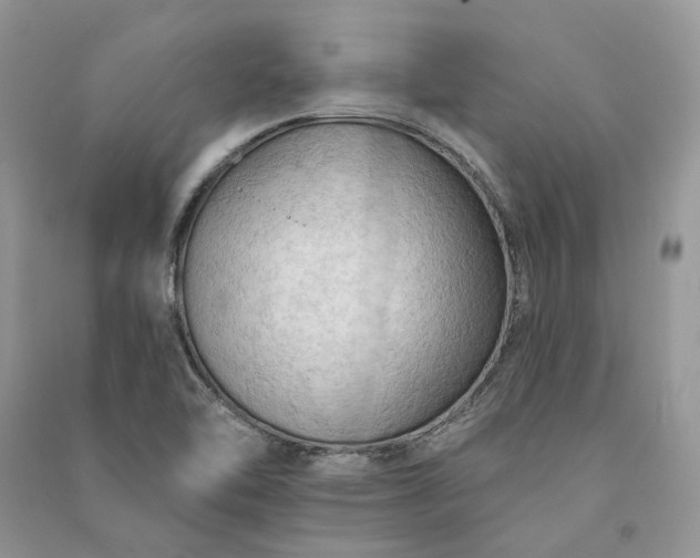 X0000090911462200708131403